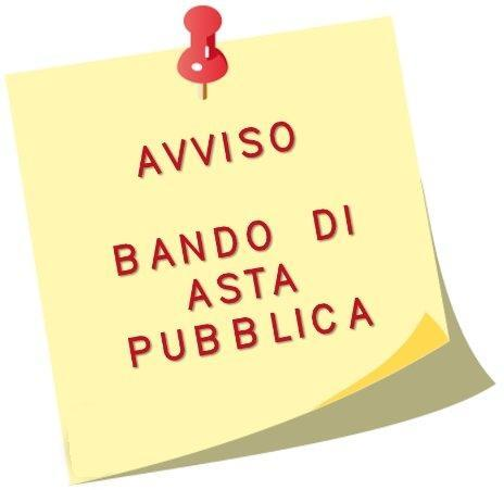 Bando di asta pubblica